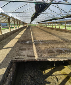 Effluent Farm Services Waikato Ltd